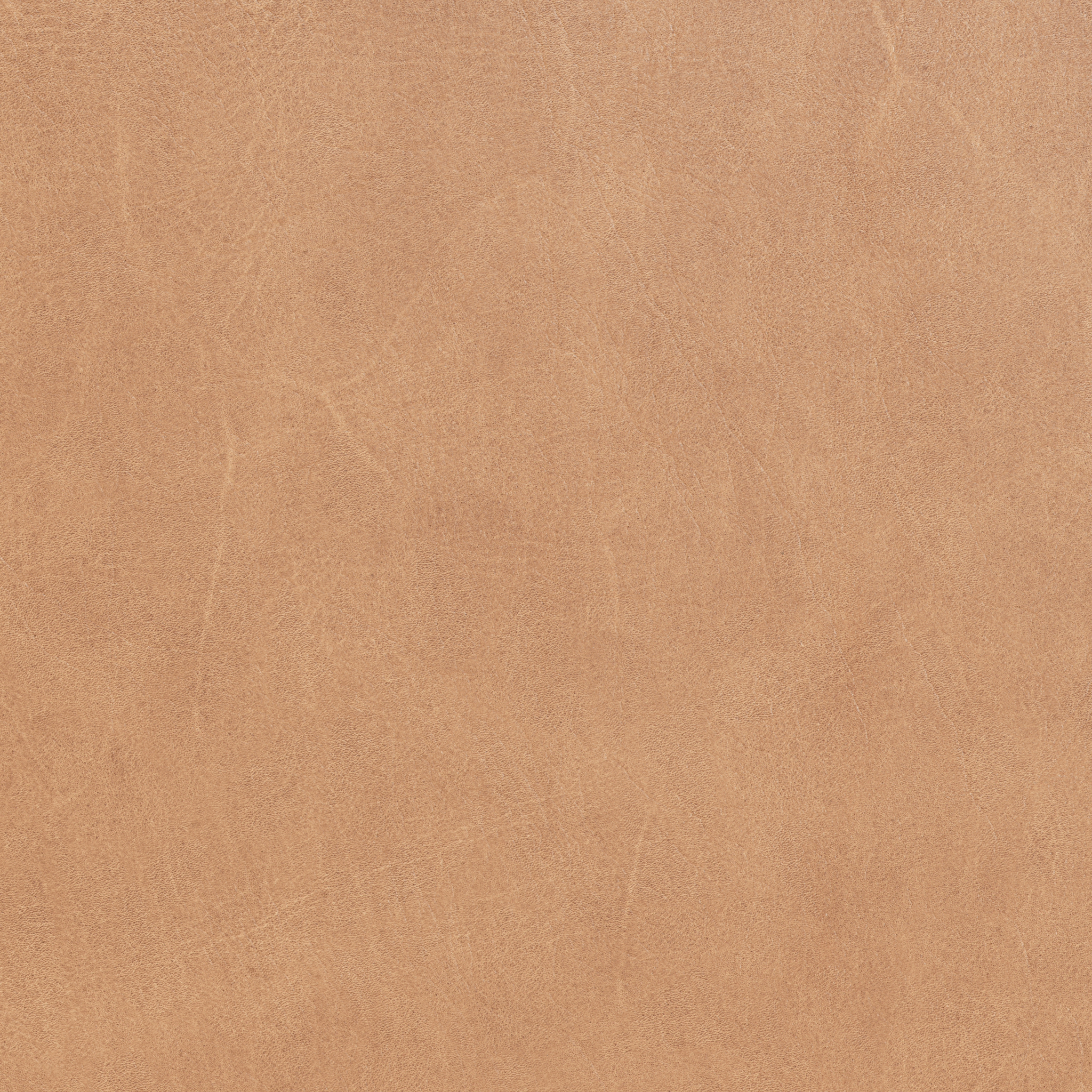 Dunes Leather Camel Nr. 21004