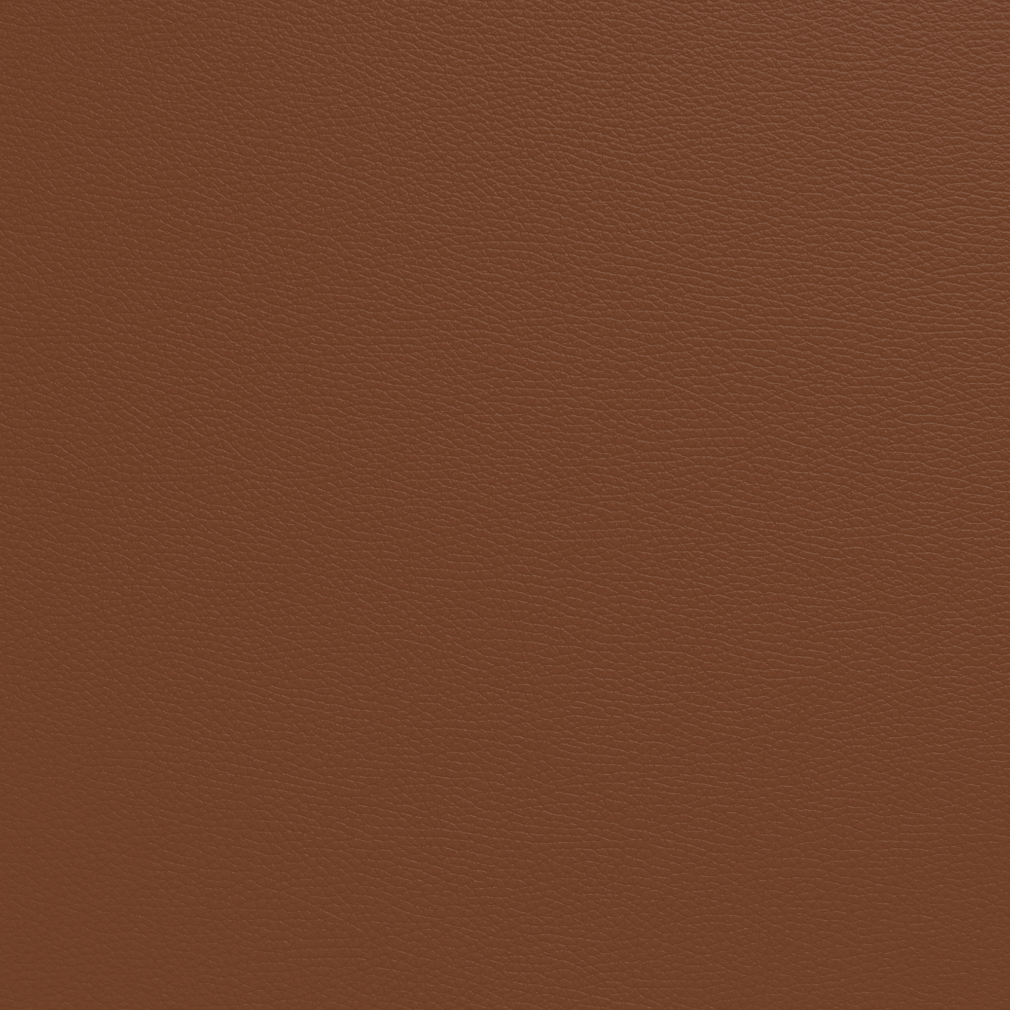 NUANCE Rust Nr. 40786